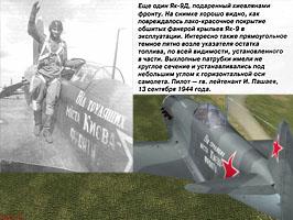 Yak-9D present (final version)