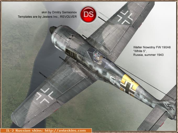 FW190AA by Walter Nowotny